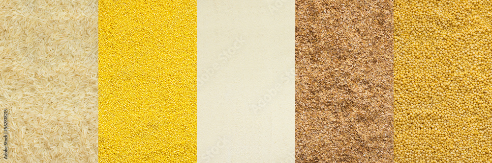 Fototapeta premium Various grain cereals banner, top view, white rice and millet, semolina and wheat grits, couscous