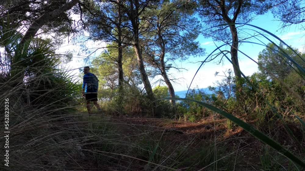 Rear view of young man hiking and exploring forest area near the sea Rear view of young man hiking and exploring forest area near the sea