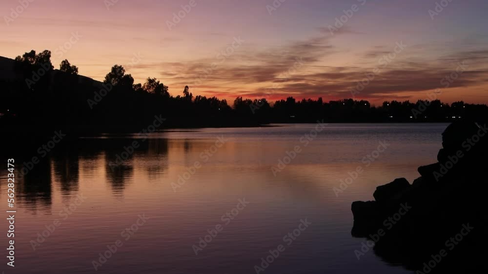 A group of ducks on the surface of the water during sunset. . High quality 4k footage A group of ducks on the surface of the water during sunset. . High quality 4k footage