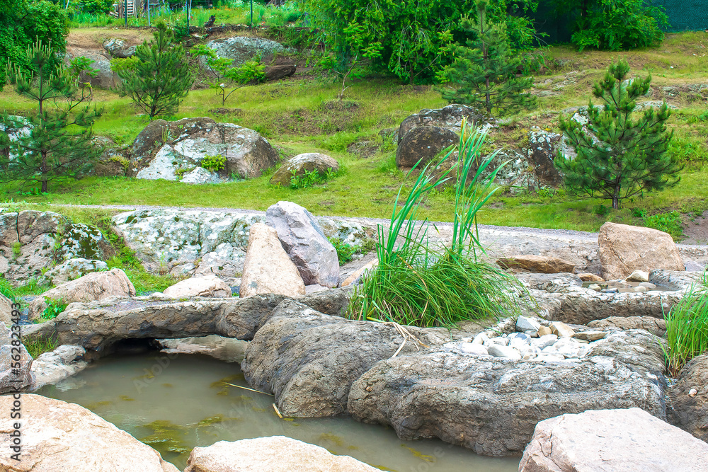 Beautiful green botanical landscape design in garden, city park with trees, bushes and benches, wooden gazebo, decorative lake pond,fresh grass lawn. Scenic summer gardening nature background,concept Beautiful green botanical landscape design in garden, city park with trees, bushes and benches, wooden gazebo, decorative lake pond,fresh grass lawn. Scenic summer gardening nature background,concept