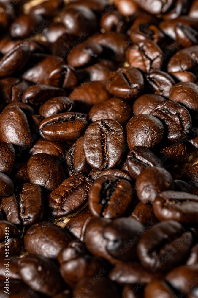 Roasted Coffee Beans on Burlap Sack Background Roasted Coffee Beans on Burlap Sack Background