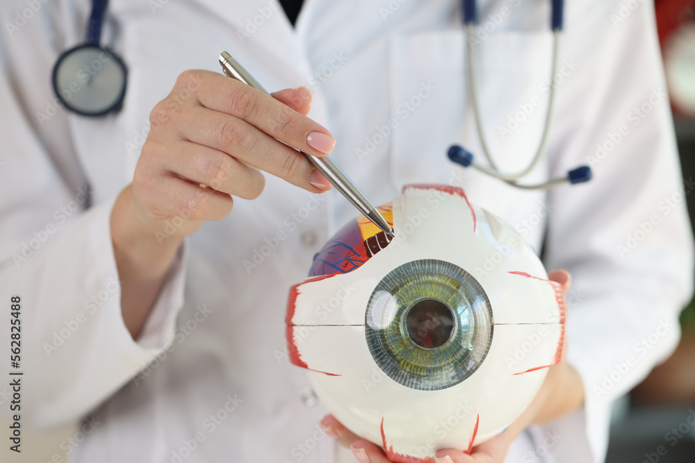 Doctor ophthalmologist holding human eye anatomical model and pointing by pen.