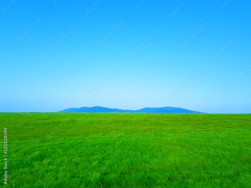 Landscape with clean meadow and hill in the background wallpaper