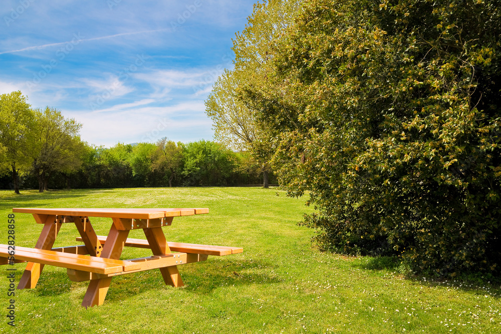 Wooden picnic table on a green meadow of a public park with trees and recreation areas for leisure activities Wooden picnic table on a green meadow of a public park with trees and recreation areas for leisure activities