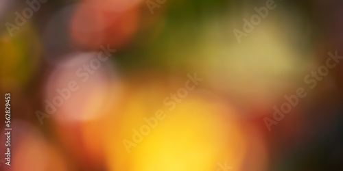 Banner natural defocus background red yellow orange green. Autumn tree bokeh, blurred background. © Lesia