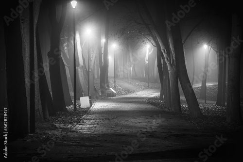 Obraz na płótnie Park nocą w salonie