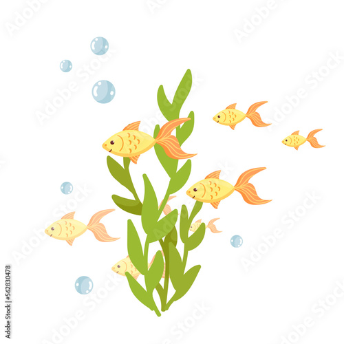 Cartoon flocks of fish swim among the algae. Vector graphics.