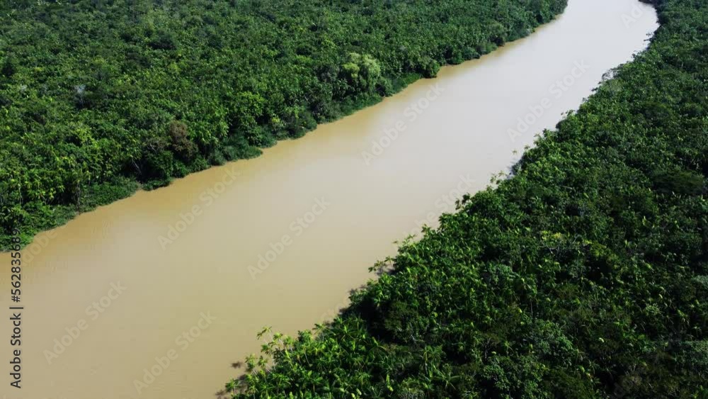 camera panning up along a small brown river snaking through a thick green tropical jungle in Brazil Aerial Video camera panning up along a small brown river snaking through a thick green tropical jungle in Brazil Aerial Video