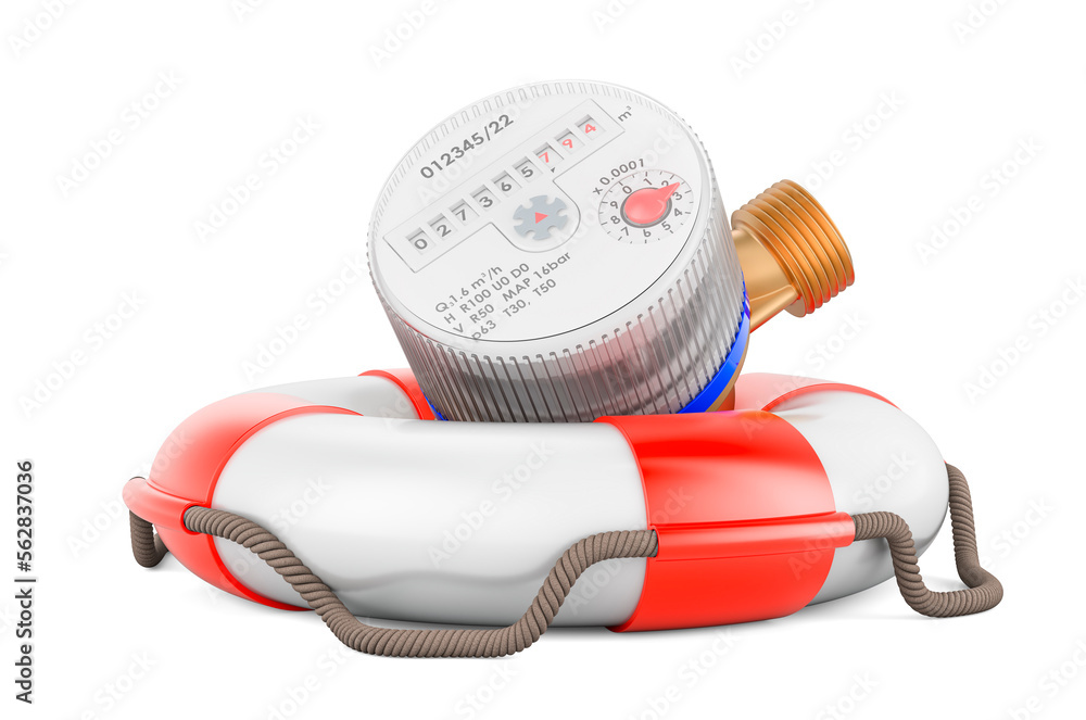 Water meter with lifebuoy, 3D rendering