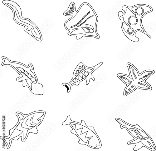 fish collection design pattern