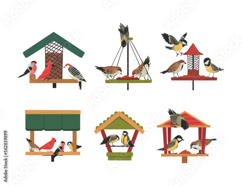 Print op canvas Winter Wooden Bird Feeder with Aves Picking Grain and Seeds Vector Set