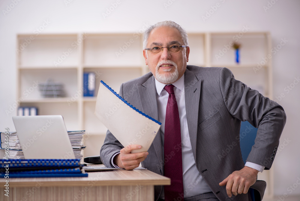 Old male employee working in the office Old male employee working in the office