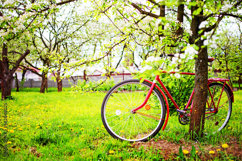 spring or summer nature background with retro bicycle spring or summer nature background with retro bicycle