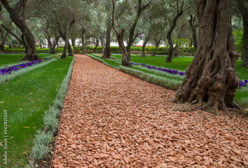 Obraz premium A view from inside the Bahai gardens and temple on the slopes of the Carmel Mountain, Haifa city, Israel