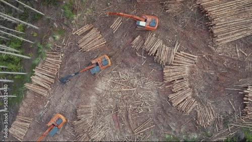 Wallpaper Mural Aerial: top down shot of heavy logging machinery in the forest Torontodigital.ca