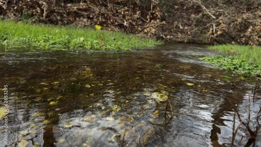 Shallow, Fast Moving Water Stream, Over River Stones Winter Gloomy Day 3 Shallow, Fast Moving Water Stream, Over River Stones Winter Gloomy Day 3