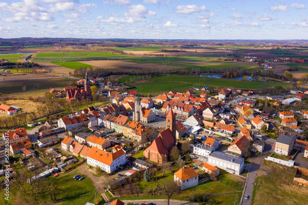Aerial view of houses and nature of Prusice, located in Poland