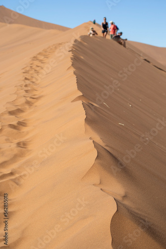 Hiking on sand dunes around Deadvlei in Sossusvlei  Namibia  Africa