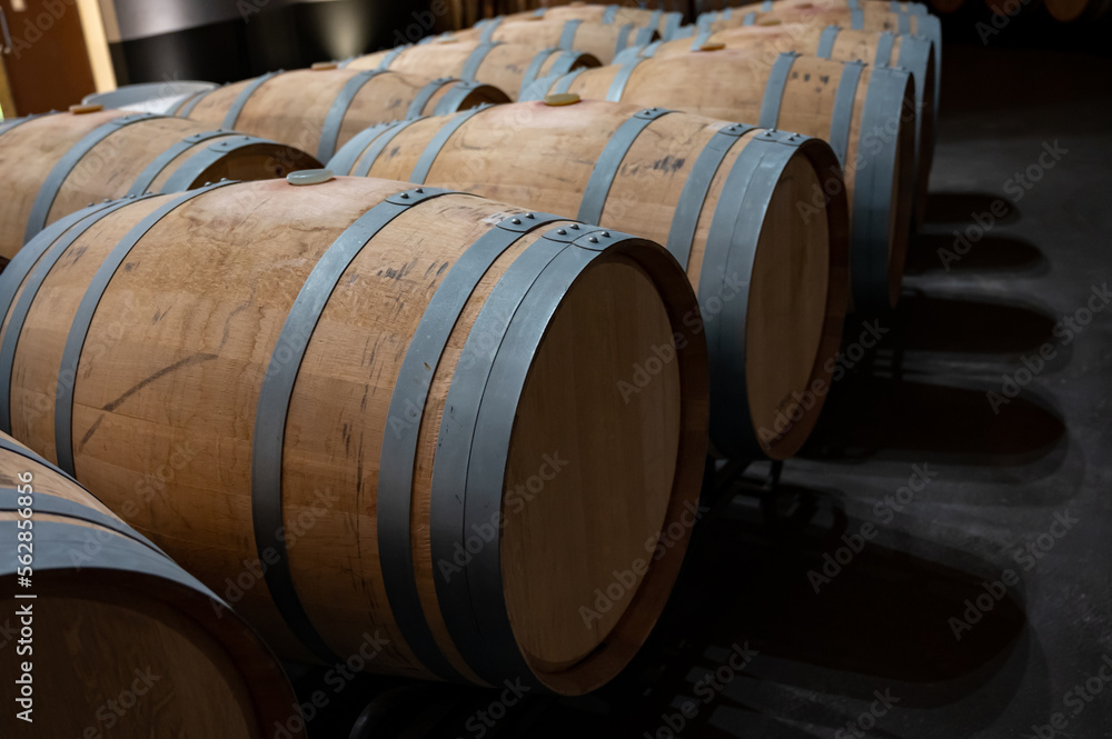 Rows of french and american oak barrels in cellars of winery in Rioja wine making region, Spain