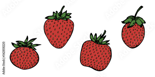 Vector set of strawberry clipart. Hand drawn berry icon. Fruit illustration. For print, web, design, decor, logo.