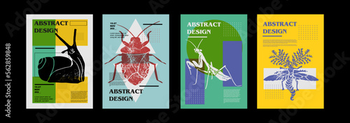 Cochlea, helix, snail, beetle dorr, mantis, Glowworm. Set of vector posters with insects. Engraving illustrations and typography. Background images for cover, banner