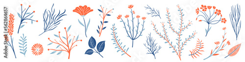 set collection plants flowers and leaves - hand drawn vector. Drawing beautiful plants, and decorative set with colours	