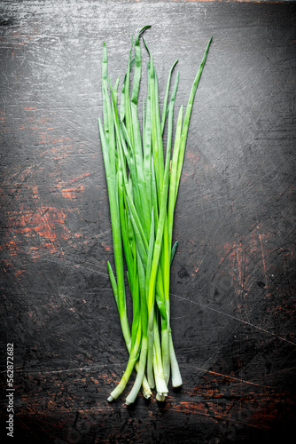 Green onion for salad.