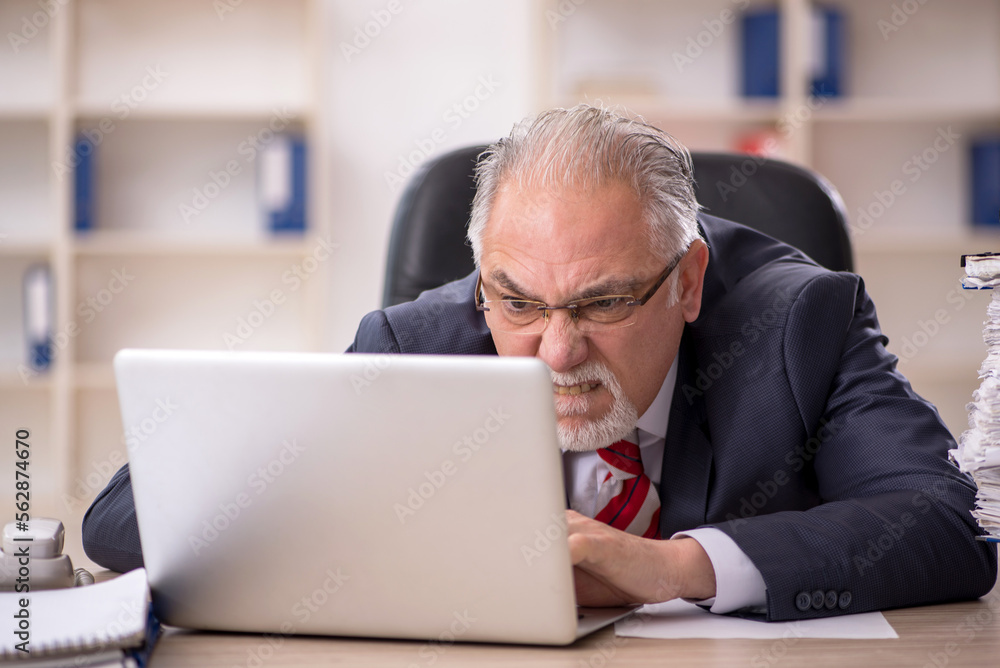 Old male employee working in the office Old male employee working in the office