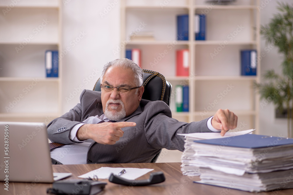 Old male employee working in the office Old male employee working in the office