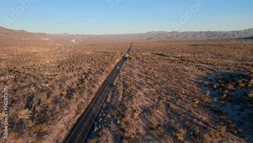 Car driving down lost desert highway road at sunset in the southwestern Arizona with mountain Joshua trees, and cactus plants.  