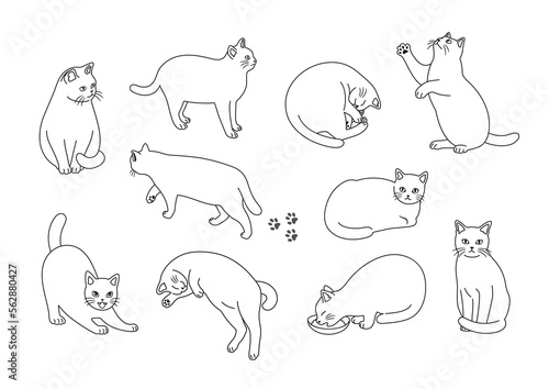 おしゃれな猫のシンプルな線画イラストセット　
