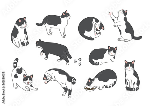 おしゃれな猫の線画イラストセット