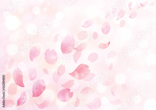 水彩　風に舞う桜の花びらフレーム、背景