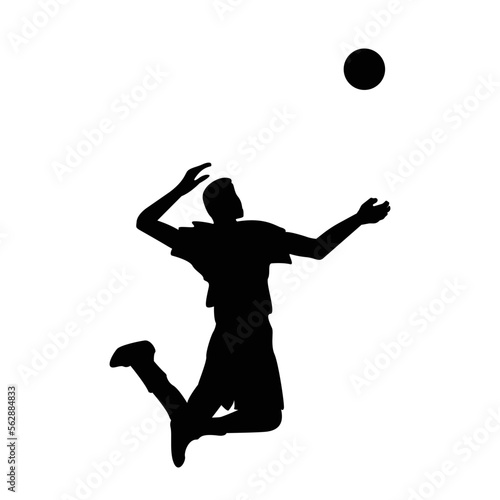 volleyball icon vektor