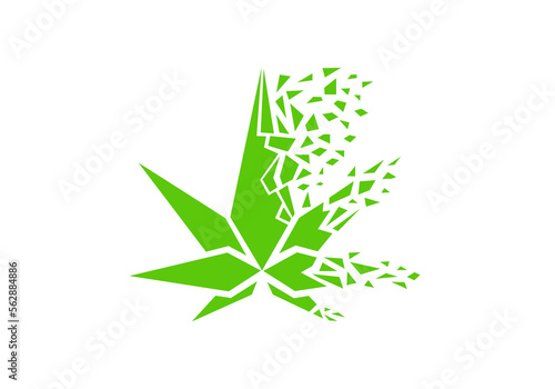 cannabis leaf logo design template.icon for science technology