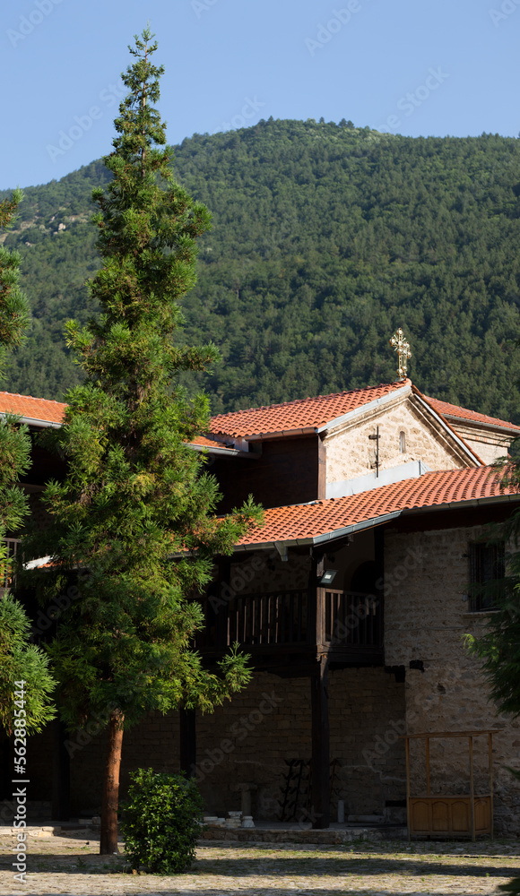 The Bachkovo Monastery of the Dormition of the Theotokos, of the Mother of God Petritzonitissa. The Bachkovo Monastery of the Dormition of the Theotokos, of the Mother of God Petritzonitissa.
