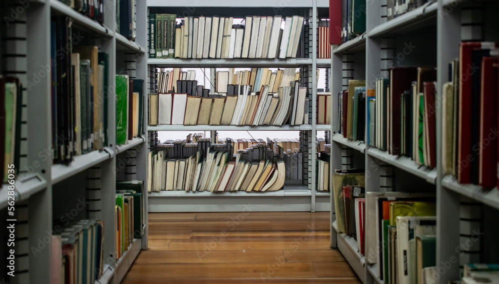 Estanterías de biblioteca llenas con muchos libros. Aprendizaje y estudio Estanterías de biblioteca llenas con muchos libros. Aprendizaje y estudio