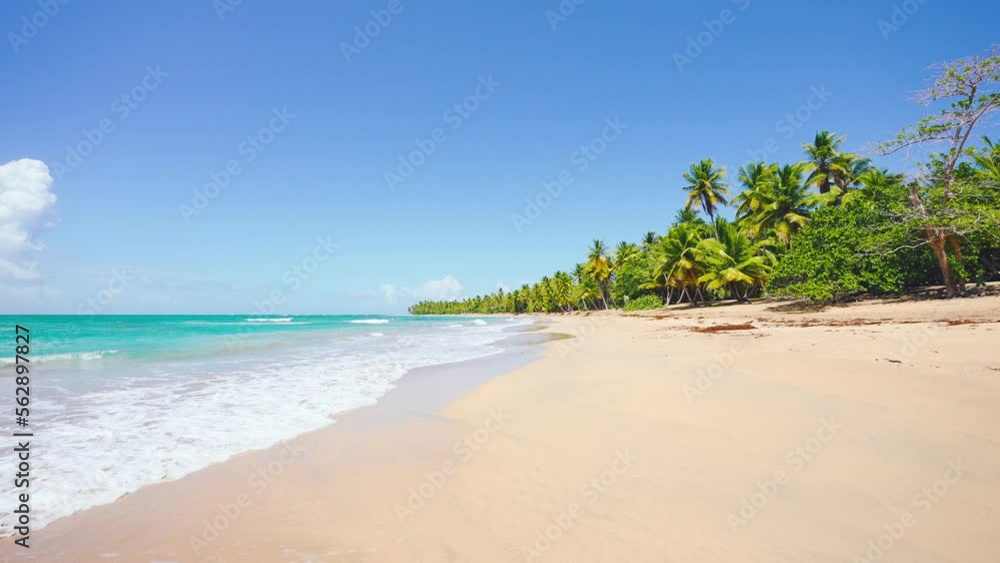 View of a beautiful tropical sandy beach with green coconut trees around. Coast of the Caribbean. Vacation and vacation concept. Tropical beach against the blue sky. View of a beautiful tropical sandy beach with green coconut trees around. Coast of the Caribbean. Vacation and vacation concept. Tropical beach against the blue sky.