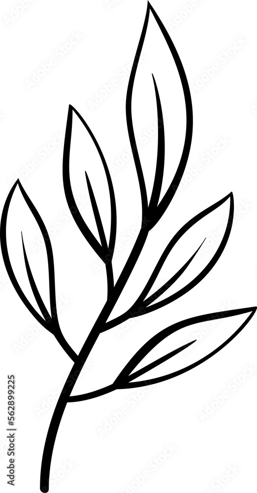 Japanese bamboo leaf branch doodle Japanese bamboo leaf branch doodle