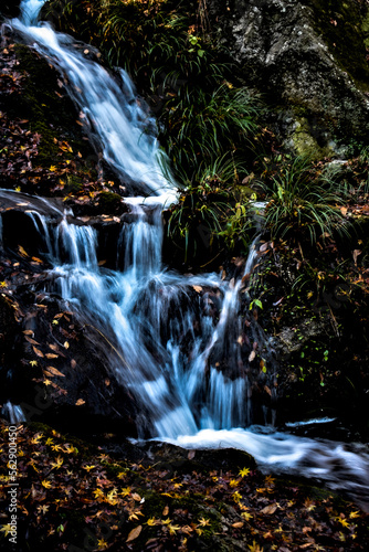 waterfall in autumn (ID: 562900450)