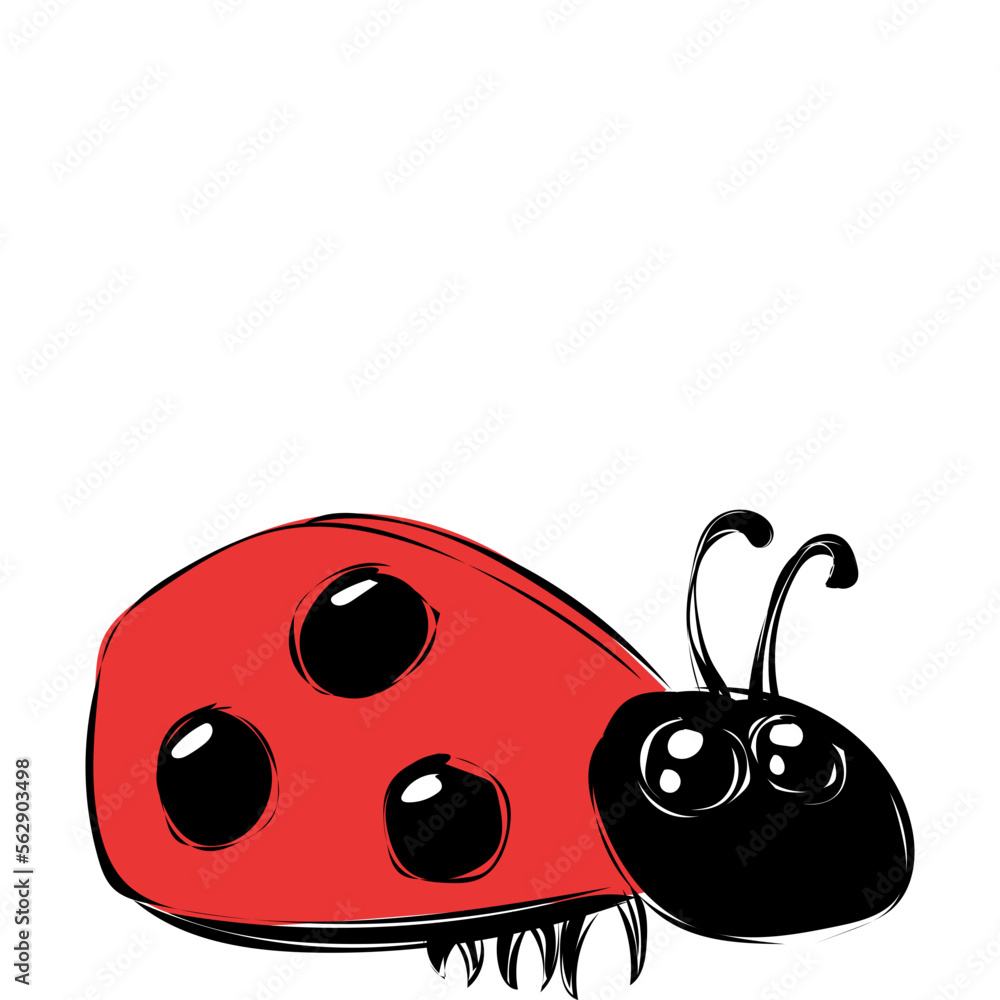 Obraz premium Marienkäfer