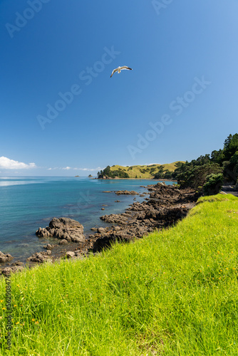 Thames coastal road along the Coromandel Peninsula =, New Zealand