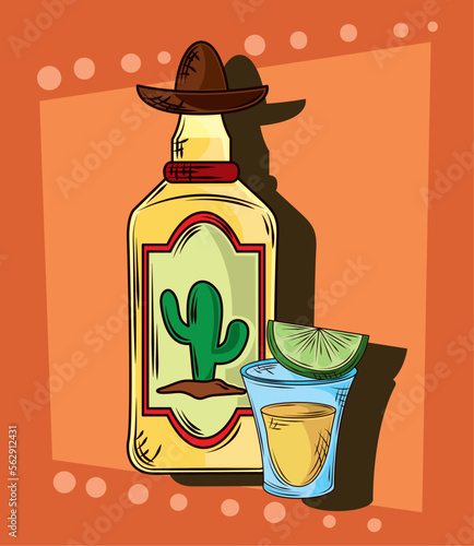 tequila bottle and hat