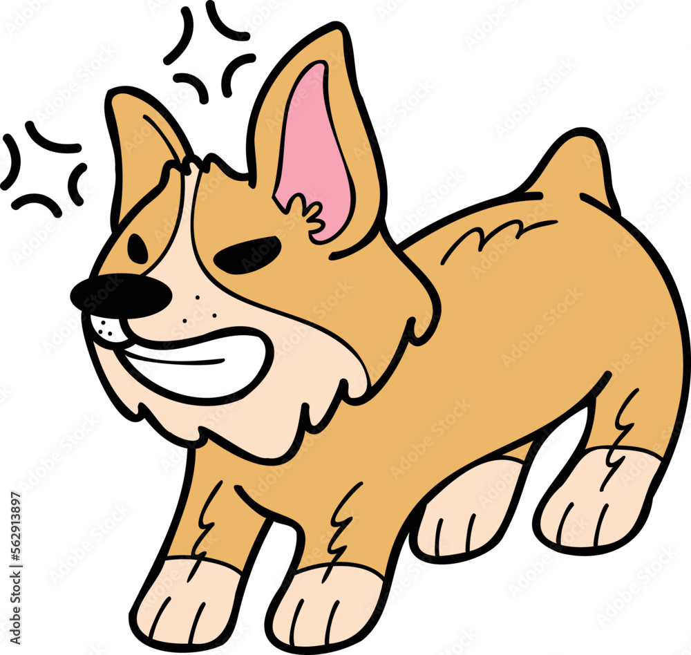 Hand Drawn angry Corgi Dog illustration in doodle style