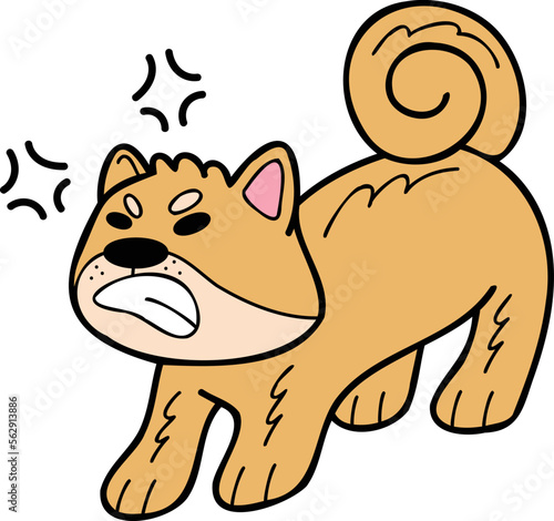 Hand Drawn angry Shiba Inu Dog illustration in doodle style © toonsteb