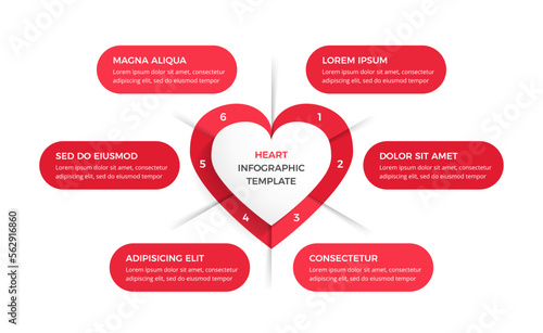 Infographic template with heart divided on six elements