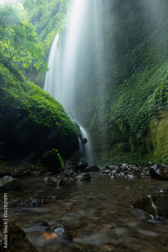 Stunning view of the Madikaripura waterfalls. Madakaripura Waterfall is one of the most spectacular waterfalls in East Java, Indonesia.