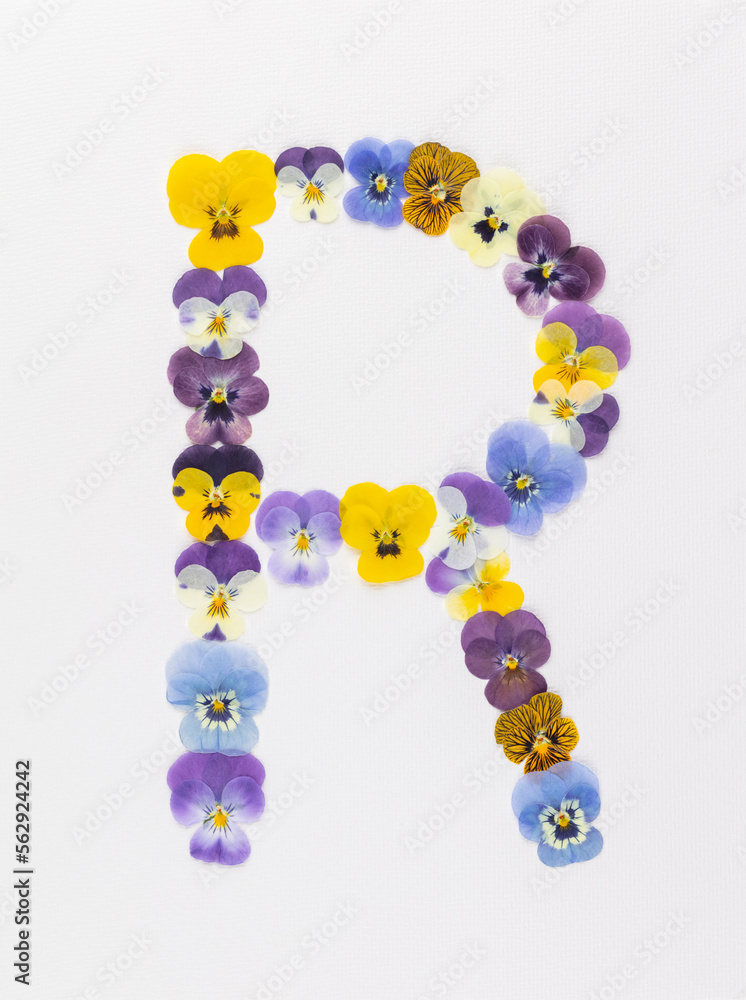 Flower font Alphabet a,b,c,q, r, s, t, made of Real pansy flowers. Flower font Alphabet a,b,c,q, r, s, t, made of Real pansy flowers.