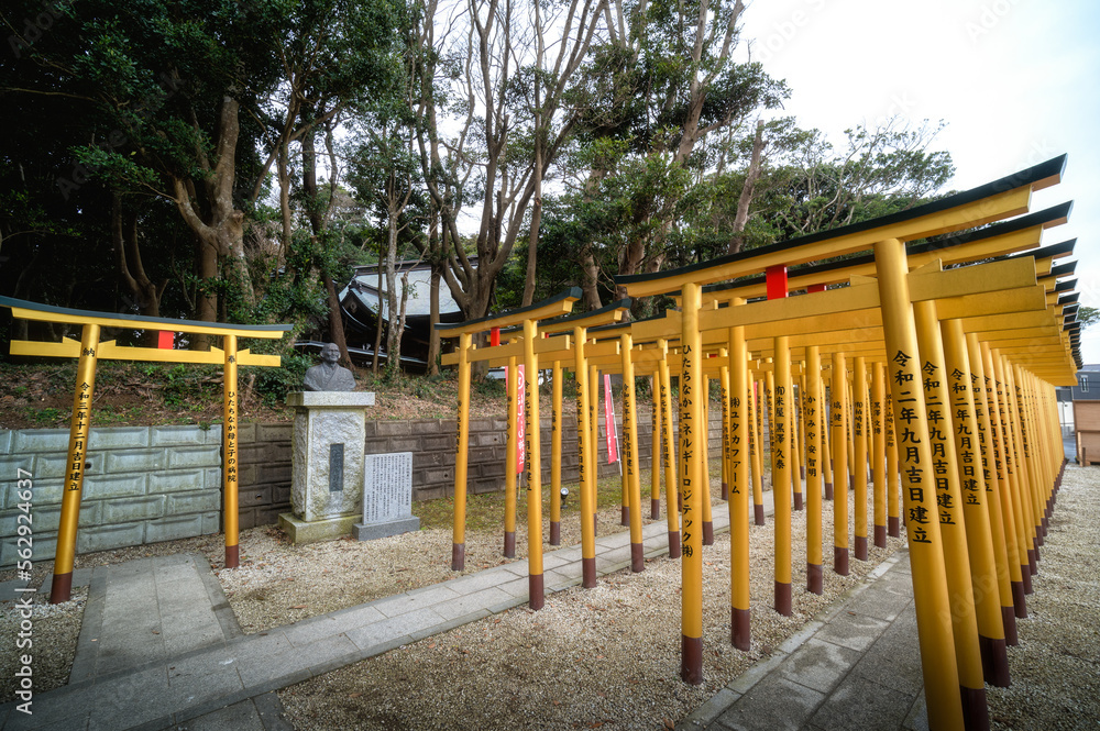 茨城県ひたちなか市　ほしいも神社の鳥居