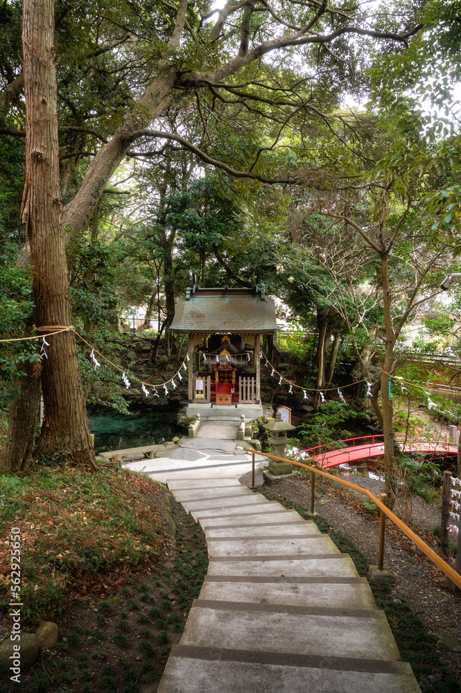 茨城県日立市　泉神社の湧水